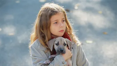 Kahraman Köpek izle