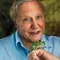 David Attenborough filmleri
